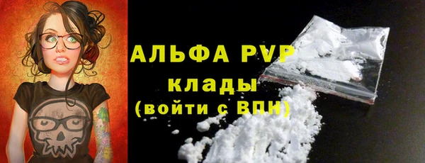 spice Богданович