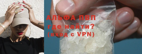 a pvp Белокуриха