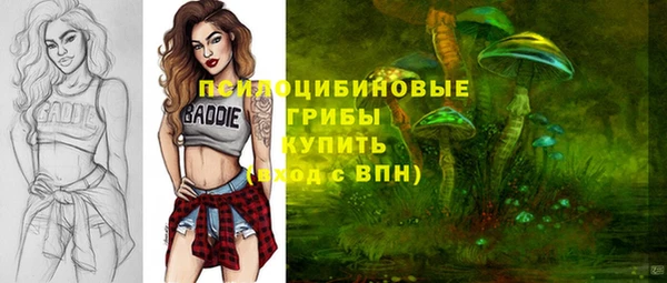 амф Богородск